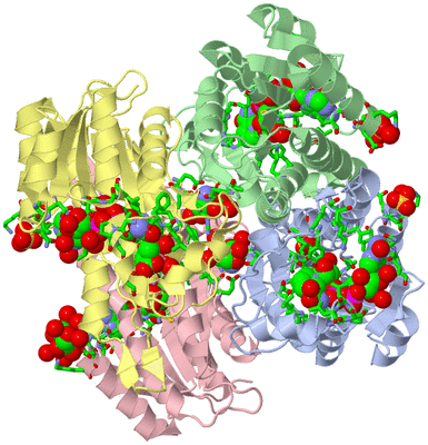 Image Asym./Biol. Unit - sites