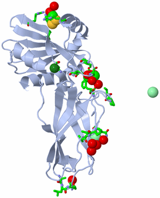 Image Biol. Unit 1 - sites