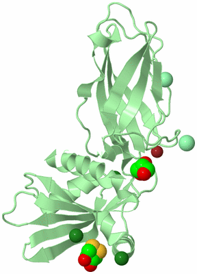 Image Biological Unit 2