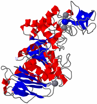 Image Asym./Biol. Unit