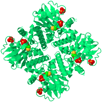 Image Biological Unit 1