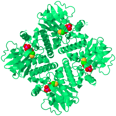 Image Biological Unit 1