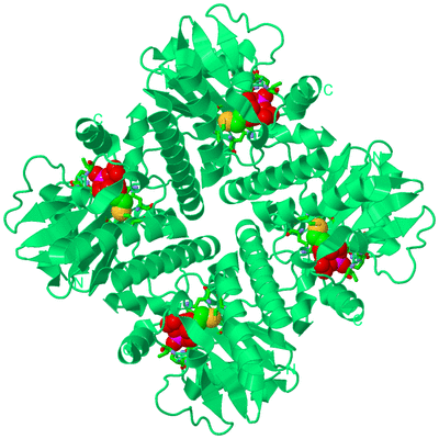 Image Biol. Unit 1 - sites