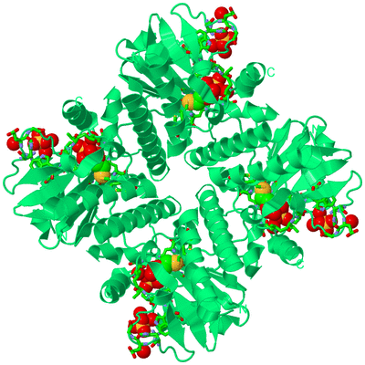 Image Biol. Unit 1 - sites