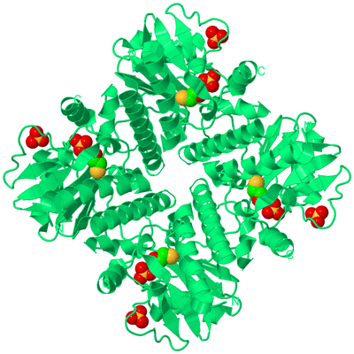 Image Biological Unit 1