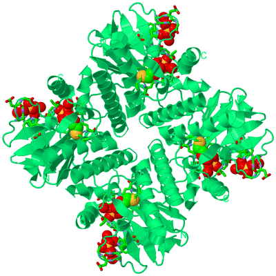 Image Biol. Unit 1 - sites