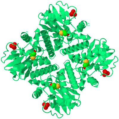 Image Biological Unit 1