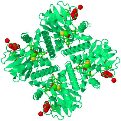 Image Biol. Unit 1 - sites