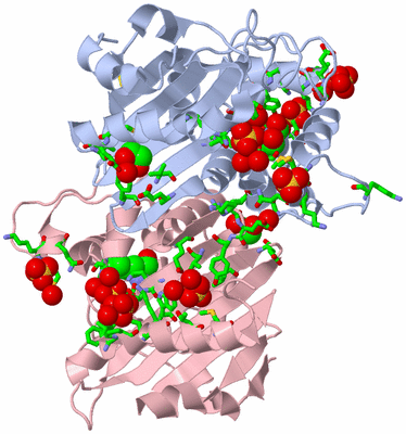 Image Biol. Unit 1 - sites