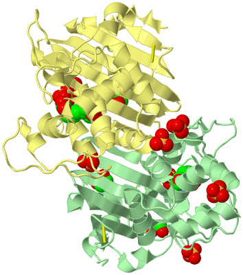 Image Biological Unit 2