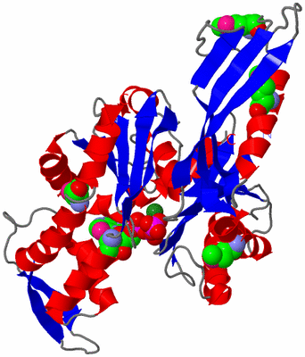 Image Asym./Biol. Unit