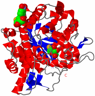 Image Asymmetric Unit