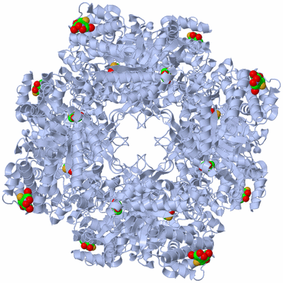 Image Biological Unit 1