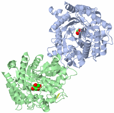 Image Asym./Biol. Unit