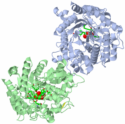 Image Asym./Biol. Unit - sites