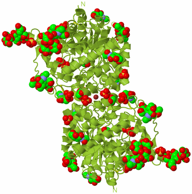 Image Biological Unit 1