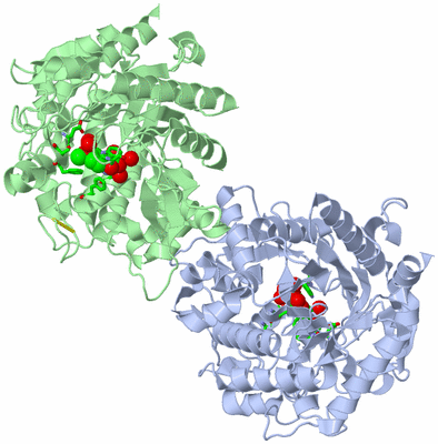 Image Asym./Biol. Unit - sites