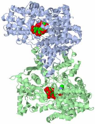 Image Asym./Biol. Unit