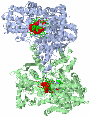 Image Asym./Biol. Unit - sites