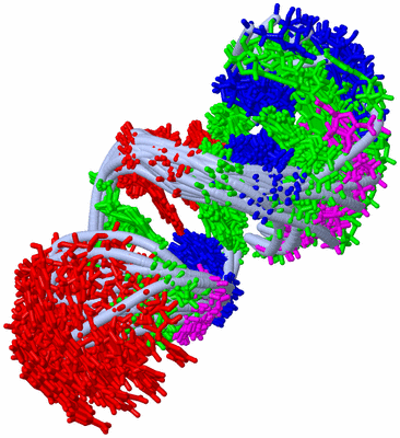 Image NMR Structure - all models