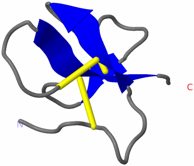 Image NMR Structure - model 1