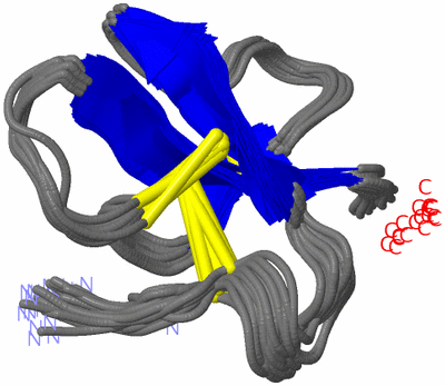 Image NMR Structure - all models