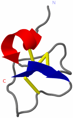 Image NMR Structure - model 1