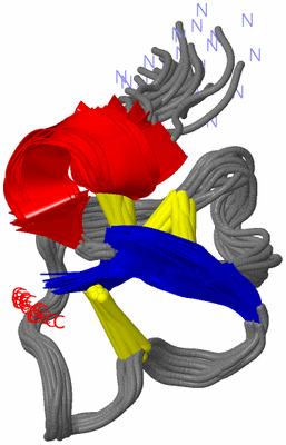 Image NMR Structure - all models