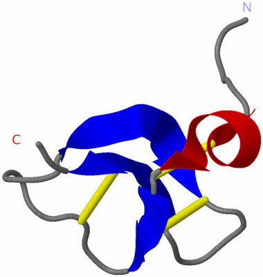 Image NMR Structure - model 1