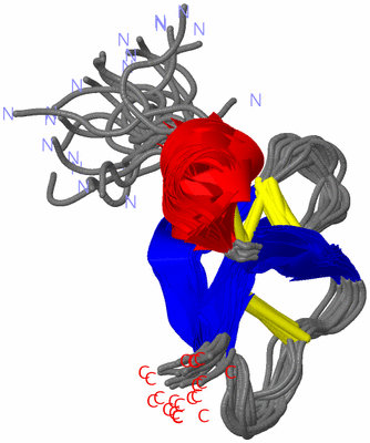 Image NMR Structure - all models