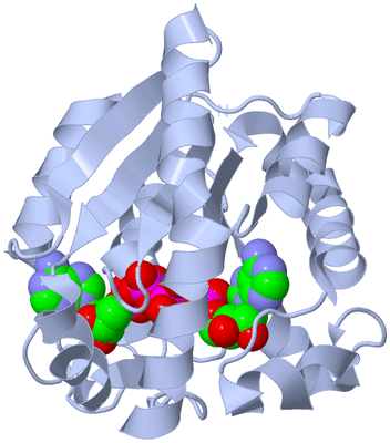 Image Biological Unit 1