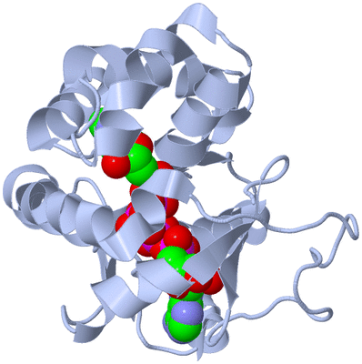 Image Biological Unit 1