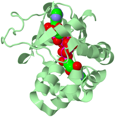 Image Biological Unit 2