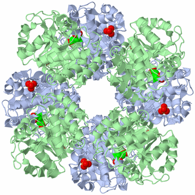 Image Biological Unit 1