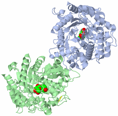 Image Asym./Biol. Unit