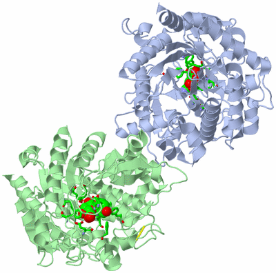 Image Asym./Biol. Unit - sites