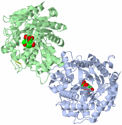 Image Asym./Biol. Unit