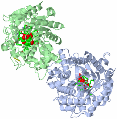 Image Asym./Biol. Unit - sites