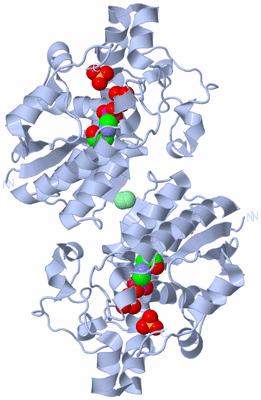 Image Biological Unit 1