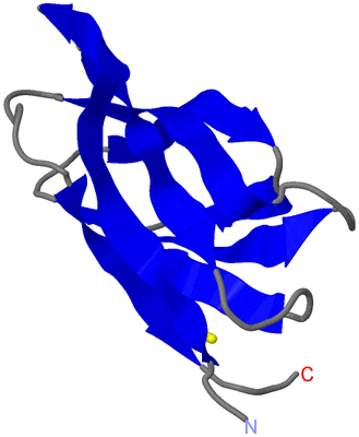 Image NMR Structure - model 1