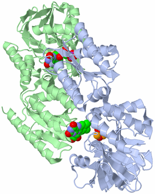 Image Asym./Biol. Unit