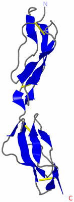 Image NMR Structure - model 1