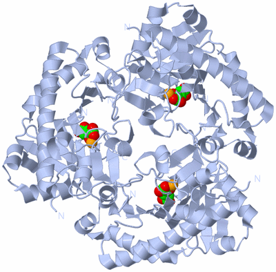 Image Biological Unit 1