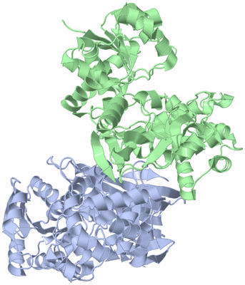 Image Asym./Biol. Unit