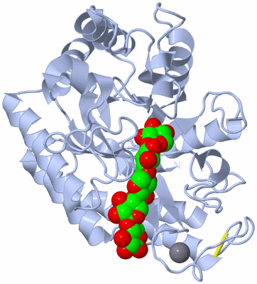 Image Biological Unit 1