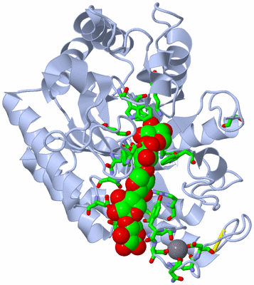 Image Biol. Unit 1 - sites