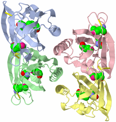 Image Asymmetric Unit