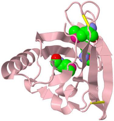 Image Biological Unit 3