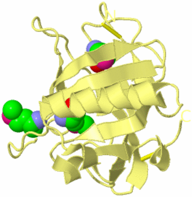 Image Biological Unit 4