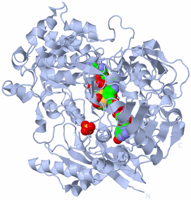 Image Biological Unit 1